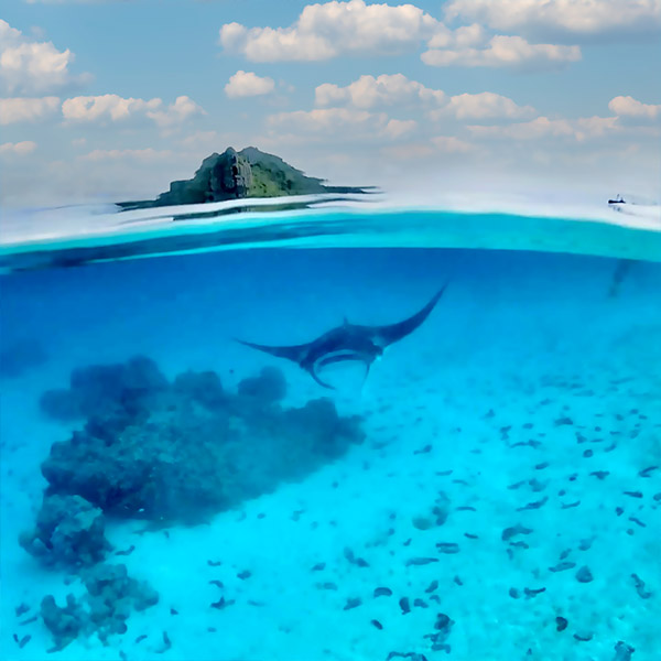 Snorkeling à Maupiti